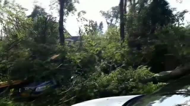 Una violenta tormenta provoca el caos en la localidad holandesa de Leersum