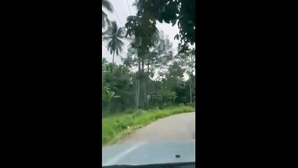 กระบี่-ทนายชื่อดังจ.กระบี่ สุดหลอน เจอคนผูกคอบนต้นทุเรียน แท้จริงโอละพ่อหุ่นไล่สัตว์