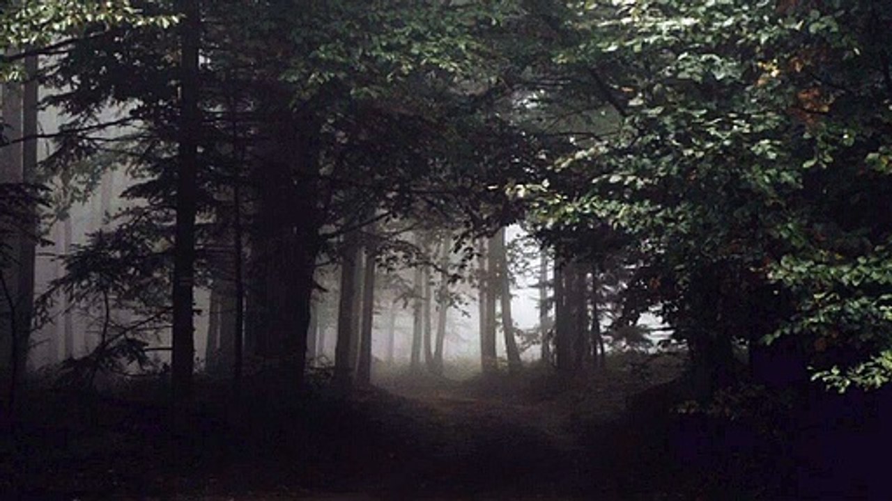 FIFTY-ONE TALES The trouble in Leafy Green Street /The mist/ Furrow-maker