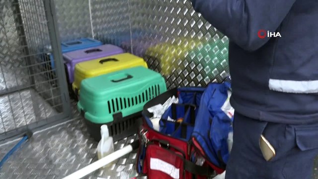 - Esenyurt’ta yaralanan at sağlığına kavuştu