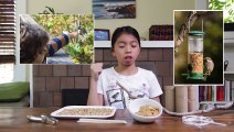 Easy Diy Bird Feeders! | Full-Time Kid | Pbs Parents