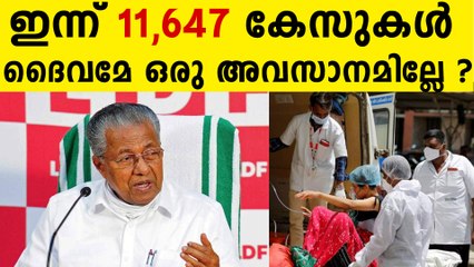 സംസ്ഥാനത്ത് ഇന്ന് 11,647 പേര്‍ക്ക് കോവിഡ്-19 സ്ഥിരീകരിച്ചു