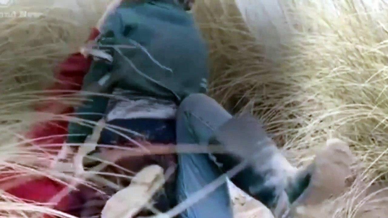 Skins - Se7 - Ep4 - Skins Pure (2) HD Watch