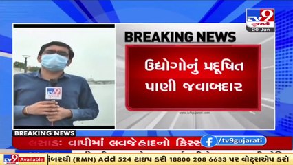 Scores of fish found dead in Sabarmati river, Ahmedabad _ TV9News