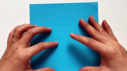  Origami Butterfly  - Vog Anniversary Butterfly (Michael G. Lafosse)