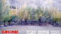 Yasin Valley l Paradise for Tourist l Gilgit Baltistan Pakistan