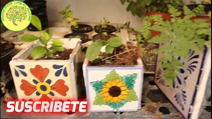 Maceta MINI de azulejo artesanal TUTORIAL, para decoración, regalar o vender!✔