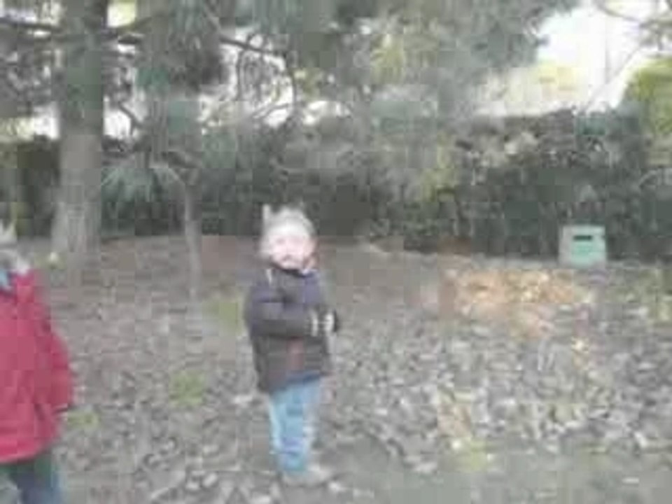 Parc phoenix