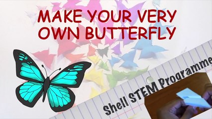 Shell Stem Programme: Origami Butterfly