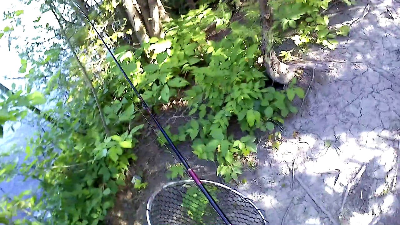 Megascorcher Fishing #10 - Different Kind of Catch