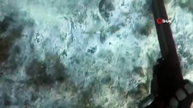 Müsilajın deniz altındaki tahribatı böyle görüntülendi
