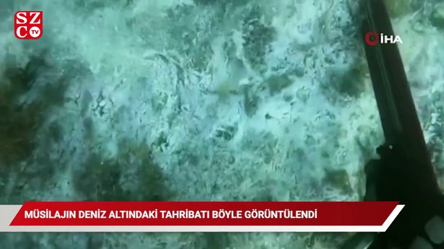 Müsilajın deniz altındaki tahribatı böyle görüntülendi