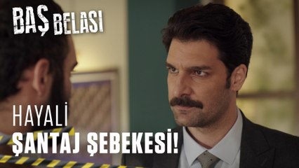 Doku örnekleri uyuşuyor! - Baş Belası 1. Bölüm