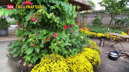 Da Rạng Rỡ, Trắng Hồng/hết Mụn, Nám, Tàn Nhang, Viêm Nang Lông Cực Kỳ Đơn Giản/healthy, Radiant Skin