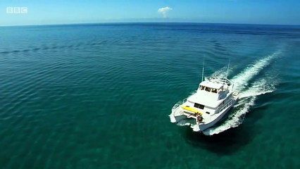 Ocean Giants episode 2