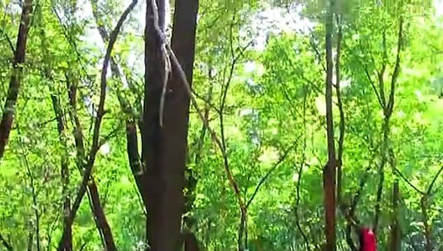 Pratik kapan nasıl yapılır?