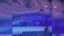 Çin'de gerçek kurtlar ile tiyatro gösterisi