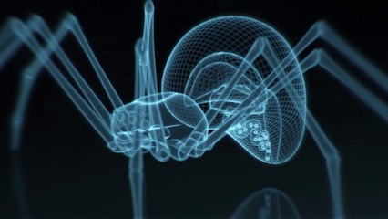 Seda de araña para sustituir al plástico