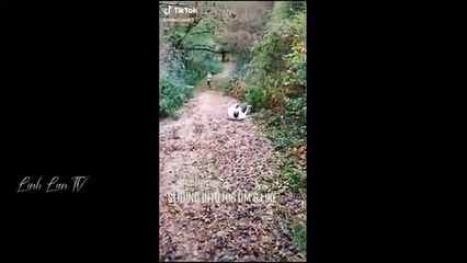 Tổng Hợp Những Khoảnh Khắc Hài Hước Của Năm  PART 5