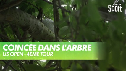 Incroyable la balle coincée dans l'arbre