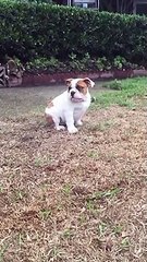 Hayatında ilk kez yağmurla karşılaştı