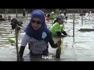 معبد عائم في تايلاند يتصدى للتآكل الساحلي بزرع أشجار القرم