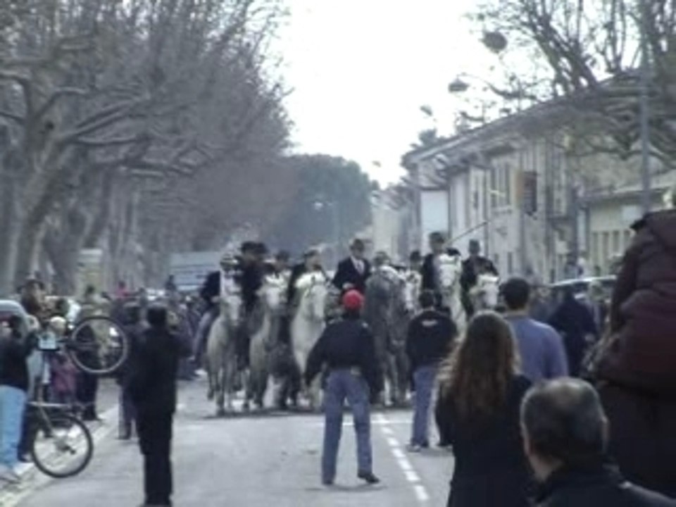 Fête Fanfonne Guillierme 2008 Aimargues