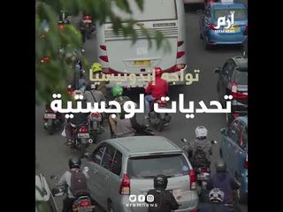 الحمير والبغال تشارك في أكبر انتخابات تجرى في يوم واحد بالعالم بإندونيسيا