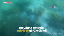 Deniz altındaki müsilaj tahribatı görüntülendi