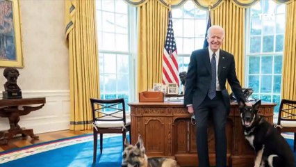 قصة رؤساء العالم مع تربية الكلاب.. وما علاقة ذلك بالسياسة