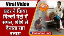 Delhi Metro में Monkey ने की यात्रा, सीट पर बैठकर देखे बाहर के नजारे, देखें Video | वनइंडिया हिंदी