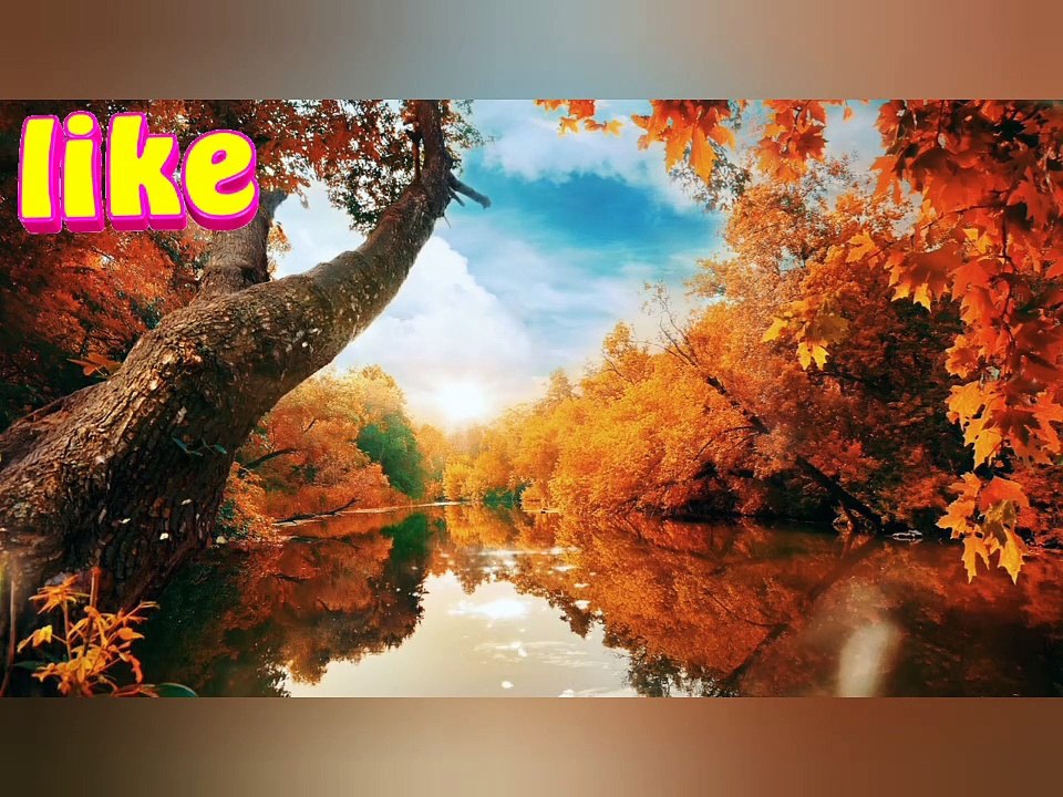 Beautiful natural video special