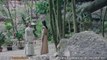 Xuân Hoa Thu Nguyệt Tập 10 - VTV1 thuyết minh tap 11 - Phim Trung Quốc thiên lôi nhất bộ chi - xem phim xuan hoa thu nguyet tap 10