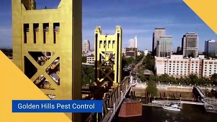 Golden Hills Pest Control