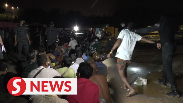 309 undocumented migrants nabbed in integrated ops