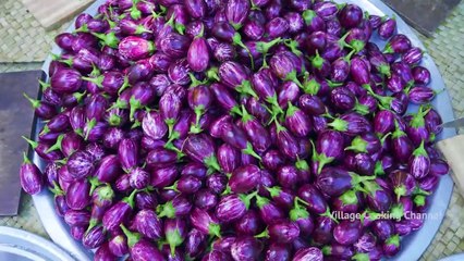 BRINJAL CURRY Oil Brinjal Curry Recipe Cooking in Village Eggplant Recipes Vegetarian Recipes