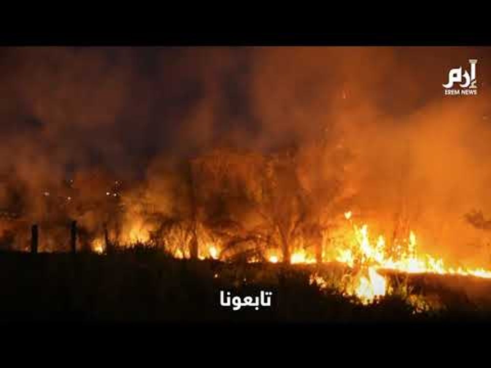 مشاهد جديدة مروعة لحرائق غابات الأمازون في البر...