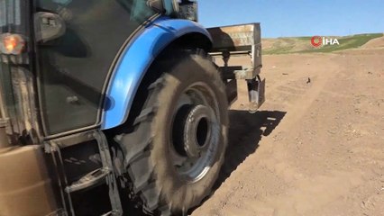 Bitlis’te fasulye ekimine başlandı