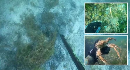 Tehlike etkisini artırıyor! Müsilajın deniz altındaki tahribatı böyle görüntülendi