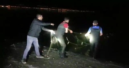 Van Gölü'nde 2 ton 350 kilogram inci kefali ele geçirildi