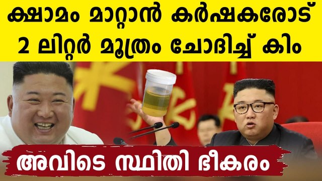 North Korea food crisis: Bananas selling for Rs 3,300 per kg