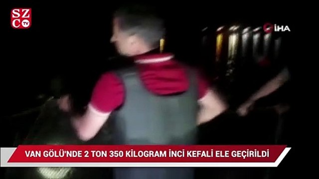 Van Gölü'nde 2 ton 350 kilogram inci kefali ele geçirildi