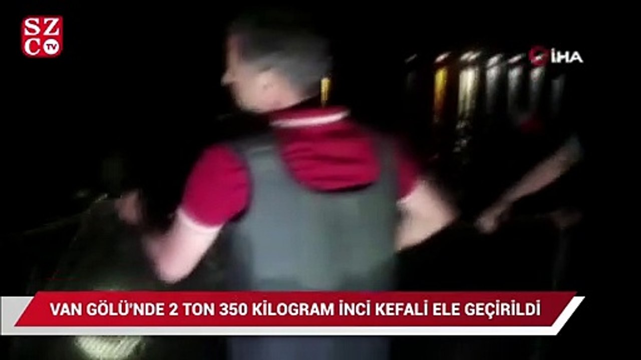 Van Gölü'nde 2 ton 350 kilogram inci kefali ele geçirildi
