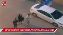 Köpekten korkan müzisyenler arkalarına bakmadan kaçtı