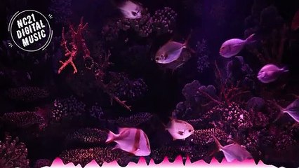 NOVA MÚSICA ELETRÔNICA 2021, As Mais Tocadas 2021, Melhores Musicas Eletronicas, NOUVELLE MUSIQUE ÉLECTRONIQUE 2021, Les plus jouées 2021,NEW ELECTRONIC MUSIC 2021, Most played 2021Running Back 2U - Stayloose