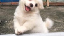 [SH][DM] 개행 테스트