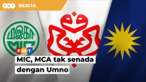 MIC tak ikut ’14 hari’ Umno, MCA seru proses harus ikut undang-undang