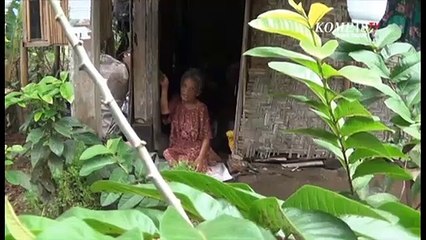 Nestapa Nenek Katiyem Sebatang Kara dan Tuna Wicara