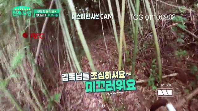 He'S Cutting Down A Bamboo Tree? (Stars' Top Recipe At Fun-Staurant) | Kbs World Tv 200922