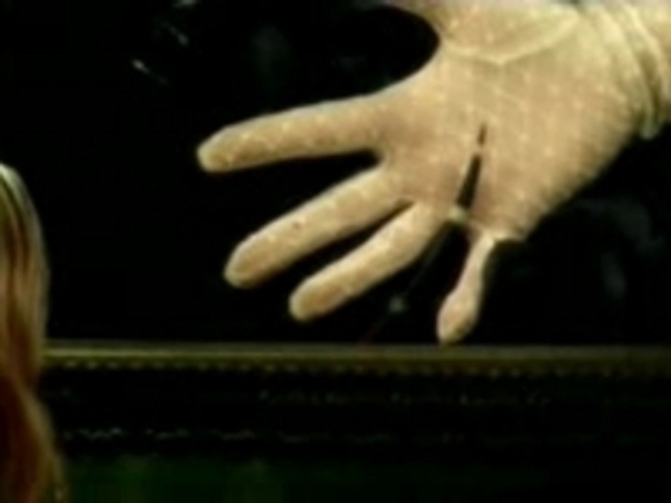 LaFee.-.Wer.bin.ich.(Neues.Video).XviD-Saug3r